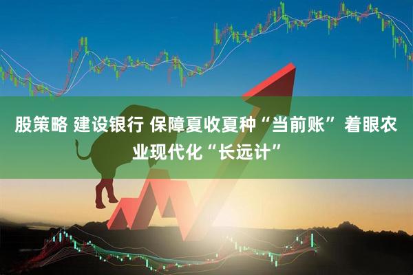 股策略 建设银行 保障夏收夏种“当前账” 着眼农业现代化“长远计”