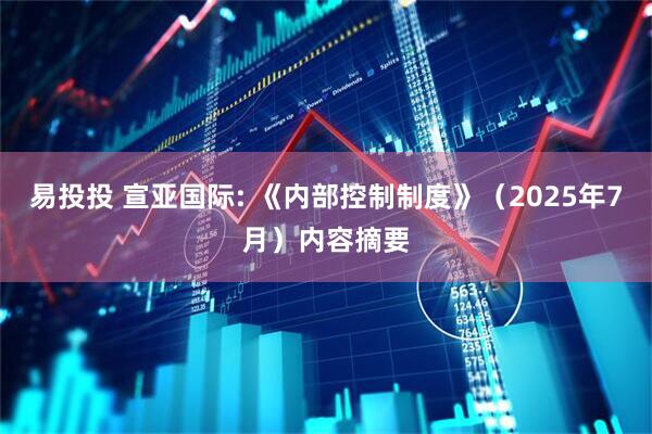 易投投 宣亚国际: 《内部控制制度》（2025年7月）内容摘要