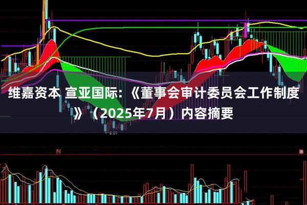 维嘉资本 宣亚国际: 《董事会审计委员会工作制度》（2025年7月）内容摘要