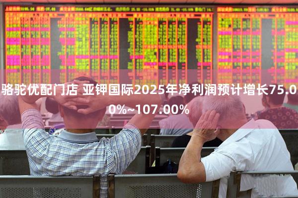 骆驼优配门店 亚钾国际2025年净利润预计增长75.00%~107.00%